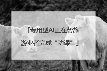 专用型AI正在帮旅游业者完成“功课”