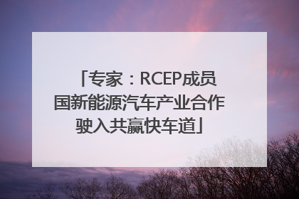 专家：RCEP成员国新能源汽车产业合作驶入共赢快车道