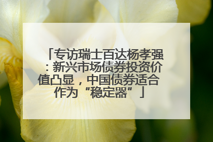 专访瑞士百达杨孝强：新兴市场债券投资价值凸显，中国债券适合作为“稳定器”