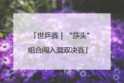 世乒赛｜“莎头”组合闯入混双决赛