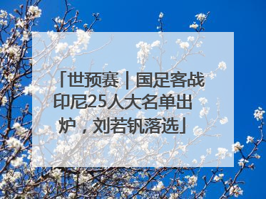 世预赛｜国足客战印尼25人大名单出炉，刘若钒落选