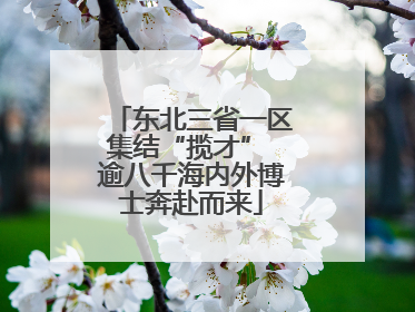 东北三省一区集结“揽才” 逾八千海内外博士奔赴而来