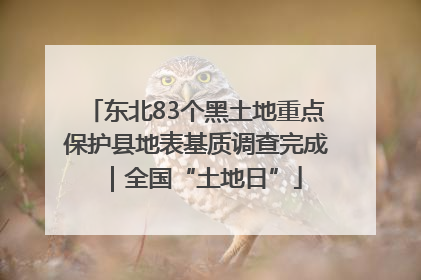 东北83个黑土地重点保护县地表基质调查完成｜全国“土地日”