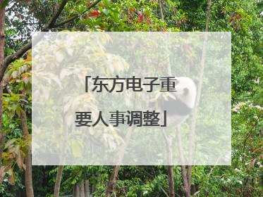 东方电子重要人事调整