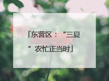 东营区：“三夏”农忙正当时