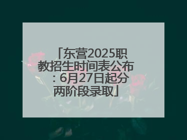 东营2025职教招生时间表公布：6月27日起分两阶段录取