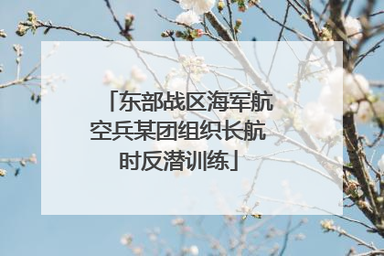 东部战区海军航空兵某团组织长航时反潜训练