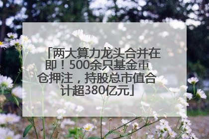 两大算力龙头合并在即！500余只基金重仓押注，持股总市值合计超380亿元
