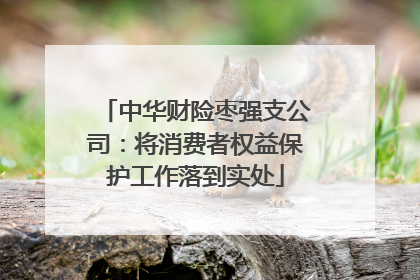 中华财险枣强支公司：将消费者权益保护工作落到实处