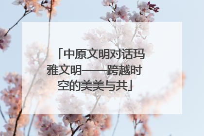 中原文明对话玛雅文明——跨越时空的美美与共