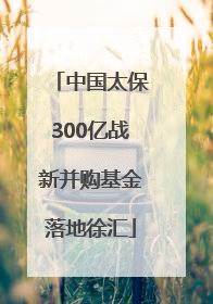 中国太保300亿战新并购基金落地徐汇