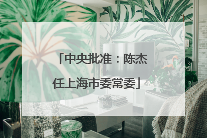 中央批准：陈杰任上海市委常委