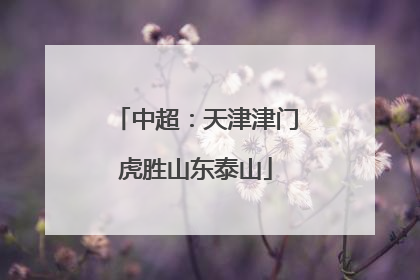 中超：天津津门虎胜山东泰山