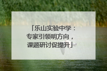 乐山实验中学：专家引领明方向，课题研讨促提升