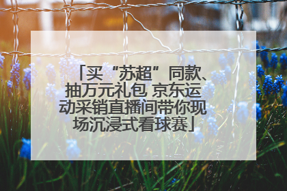 买“苏超”同款、抽万元礼包 京东运动采销直播间带你现场沉浸式看球赛