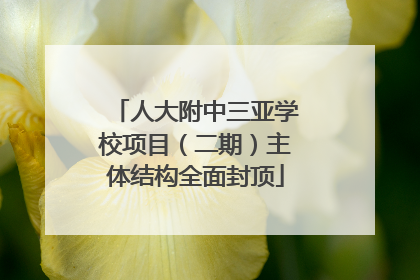 人大附中三亚学校项目（二期）主体结构全面封顶