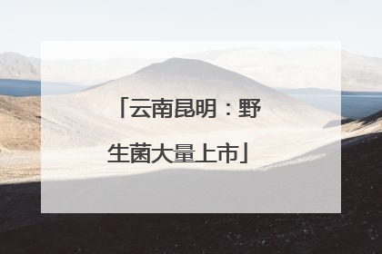 云南昆明：野生菌大量上市