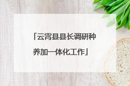 云霄县县长调研种养加一体化工作