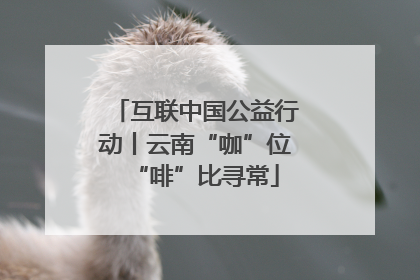 互联中国公益行动丨云南“咖”位“啡”比寻常