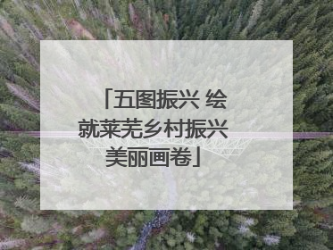 五图振兴 绘就莱芜乡村振兴美丽画卷