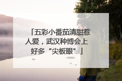 五彩小番茄清甜惹人爱，武汉种博会上好多“尖板眼”