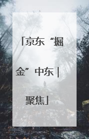京东“掘金”中东｜聚焦