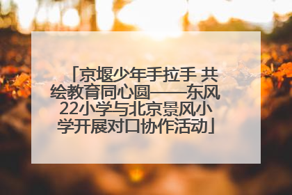 京堰少年手拉手 共绘教育同心圆——东风22小学与北京景风小学开展对口协作活动