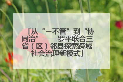 从“三不管”到“协同治”——罗平联合三省（区）邻县探索跨域社会治理新模式
