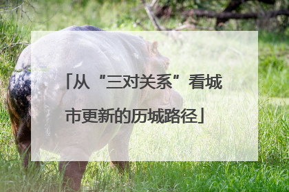 从“三对关系”看城市更新的历城路径