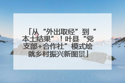 从“外出取经”到“本土结果”！叶县“党支部+合作社”模式绘就乡村振兴新图景