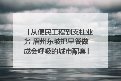 从便民工程到支柱业务 眉州东坡把早餐做成会呼吸的城市配套