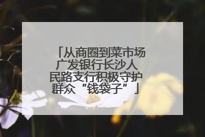 从商圈到菜市场 广发银行长沙人民路支行积极守护群众“钱袋子”