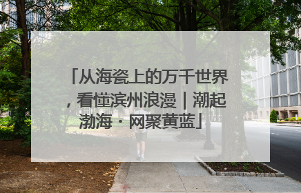 从海瓷上的万千世界，看懂滨州浪漫｜潮起渤海・网聚黄蓝
