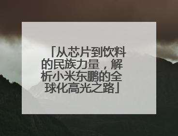 从芯片到饮料的民族力量，解析小米东鹏的全球化高光之路