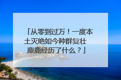 从零到过万！一度本土灭绝如今种群复壮 麋鹿经历了什么？