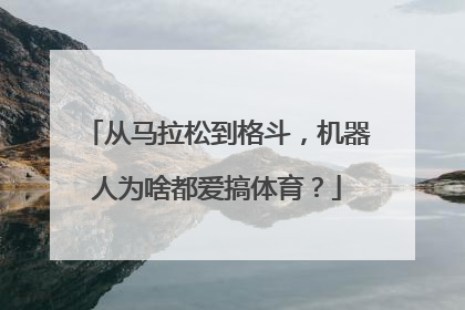 从马拉松到格斗，机器人为啥都爱搞体育？