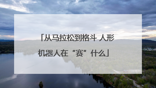 从马拉松到格斗 人形机器人在“赛”什么