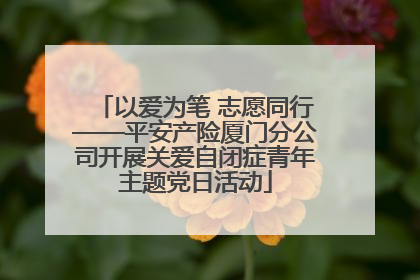 以爱为笔 志愿同行——平安产险厦门分公司开展关爱自闭症青年主题党日活动