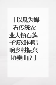以瓜为媒 看传统农业大镇石莲子镇如何唱响乡村振兴协奏曲?