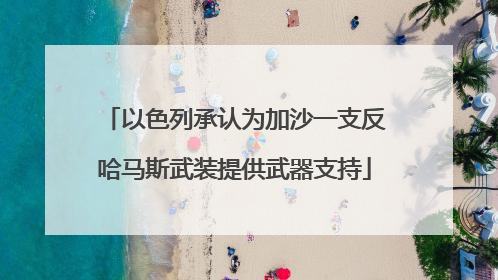 以色列承认为加沙一支反哈马斯武装提供武器支持