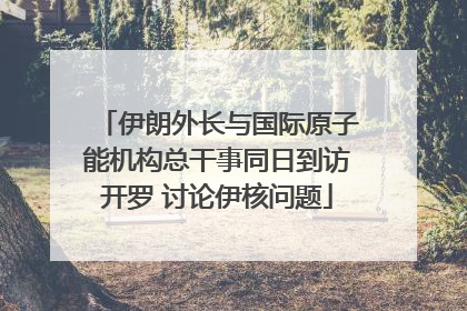 伊朗外长与国际原子能机构总干事同日到访开罗 讨论伊核问题