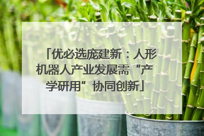 优必选庞建新：人形机器人产业发展需“产学研用”协同创新