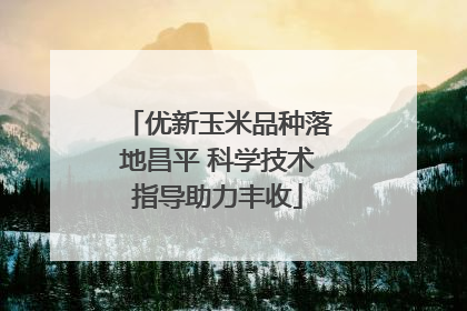 优新玉米品种落地昌平 科学技术指导助力丰收