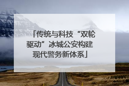 传统与科技“双轮驱动”冰城公安构建现代警务新体系