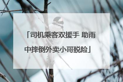 司机乘客双援手 助雨中摔倒外卖小哥脱险