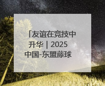 友谊在竞技中升华｜2025中国-东盟藤球邀请赛开赛 贵州惠水燃动“空中芭蕾”