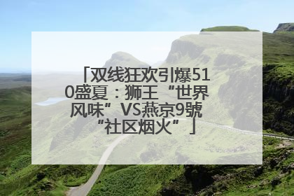 双线狂欢引爆510盛夏：狮王“世界风味”VS燕京9號“社区烟火”