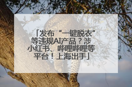 发布“一键脱衣”等违规AI产品？涉小红书、哔哩哔哩等平台！上海出手