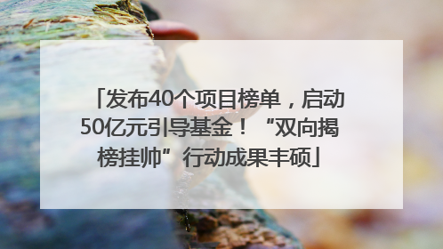 发布40个项目榜单，启动50亿元引导基金！“双向揭榜挂帅”行动成果丰硕