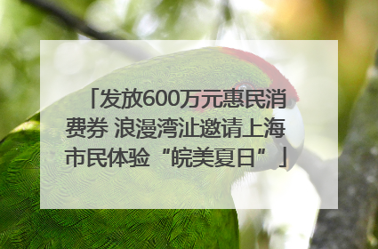发放600万元惠民消费券 浪漫湾沚邀请上海市民体验“皖美夏日”